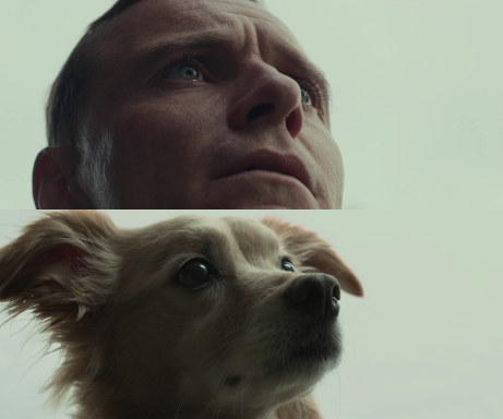 The Light Between Oceans